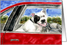 American Bull Dog in Red Car Painting card