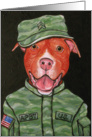 American Pit Bull Dog Military Art card