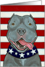American Blue Nose Pit Bull Dog US Flag Art card