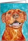 Congratulations American Red Nose Pit Bull Terrier Dog card