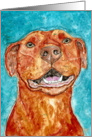 American Red Nose Pit Bull Terrier Dog, Blank Note Card