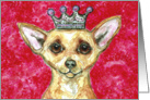 Happy Birthday Queen Chihuahua Toy Dog Pink Painting card