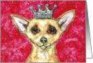 Princess Queen Chihuahua Toy Dog Pink Painting Blank Note Card