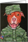 Red Nose Pit Bull Terrier US Military Dog Blank Note Card