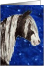 Black White Pinto Paint Gypsy Horse Painting Blank Note Card