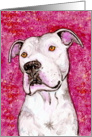 White American Pit Bull Terrier Dog Painting Blank Note Card