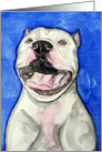 Happy Bark Day Birthday White American Pit Bull Terrier Dog Painting card
