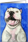 White American Pit Bull Terrier Dog Painting Blank Card