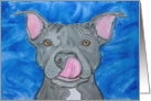 Blue Nose American Pit Bull Terrier Dog blank card