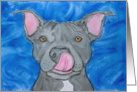 Happy Birthday Blue Nose American Pit Bull Terrier Dog Painting card