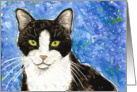 Pet Sympathy Loss Black and White Tuxedo Cat Painting card