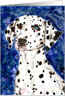 Pet Sympathy Loss Black and White Dalmatian Dog Painting card