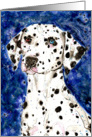 Black and White Odd eyed Dalmatian Dog Painting Blank Card