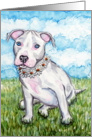 White Daisy Pit Bull Terrier Puppy Dog Blank Note Card