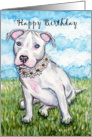 White Daisy Pit Bull Terrier Puppy Dog Happy Birthday card