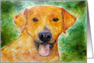 Yellow Labrador Dog Art Painting Blank Note Card
