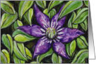 Purple Clematis Vine Flowers Blank Note Card