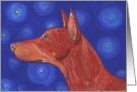 Starry Night Red Doberman Pinscher Dog Blank Note Card