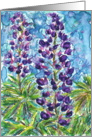 Get Well Floral Purple Lupine Flowers Watercolor card