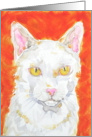 Orange Yellow White Cat Watercolor Blank Note Card