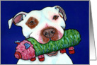 White Brown Pit Bull Terrier Dog Pig Toy Blank Note Card