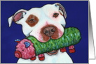 White Brown Pit Bull Terrier Dog Pig Toy Party Invite card