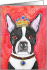 King Crown Boston Terrier Black and WHite Dog Blank Note Card