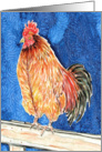Rooster Chicken Fowl Farm Bird Animal Blank Note Card
