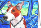 Pit Bull Terrier Dog in Blue Car Blank Card