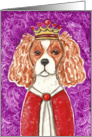 Crown Cavalier King Charles Spaniel Dog Purple Blank Card