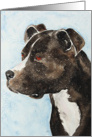 American Pit Bull Terrier Dog Portrait Pet Loss Sympathy card