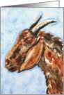 Brown Billy Goat Farm Animal Blank Note Card