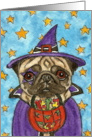 Halloween Witch Pug Dog Trick or Treat card