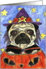 Halloween Witch Pug Pumpkin Dog Trick or Treat card