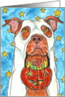 Halloween Ghost Red Nose American Pit Bull Terrier Dog Trick or Treat card