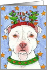 Christmas Reindeer American Pit bull Terrier Dog card