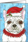 Colorful Christmas Santa Hat French Bulldog Dog card