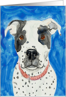 Black White Dog Pit Bull Watercolor Painting Blank Note Card