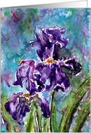 Watercolor Purple Irisis Flowers Blank Note Card Iris card