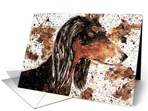 Abstract Painting Saluki Hound Dog Blank Note card (1022869)