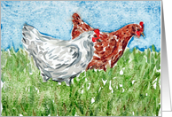 Chickens Farm Animal Pasture Blank Note Card