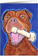 Red Nose American Pit Bull Terrier Dog Bone blank note card