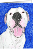 White American Bulldog Pit Bull Terrier Dog Painting Blank Card