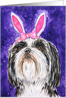 Happy Easter Pink Bunny Ears Shih Tzu Dog Painting card