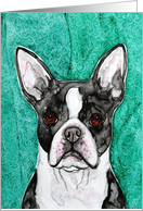 Boston Terrier Dog Watercolor Art Blank Any Occasion Card