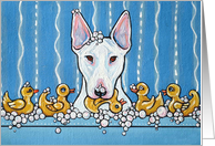 White Bull Terrier Dog Rubber Duck Bathtime Blank Note Card