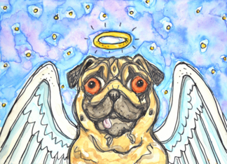 Angel Winges Halo...