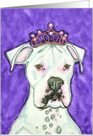 White Boxer Dog Pink Tiara Art Blank card