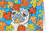 Fall Autumn Maple Leaves Pug Puppy Dog Blank card