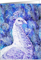 Purple Blue Peacock Bird Feathers Blank card